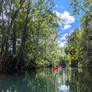 Kayaking Crystal River