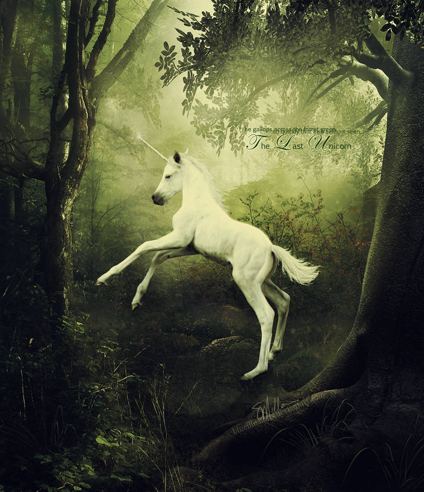 The Last Unicorn