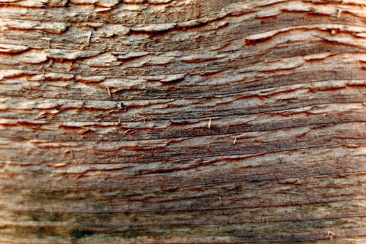 Splintered Def Explore the Best Splintered Art | DeviantArt
