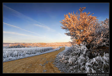 Frost Sunrise III