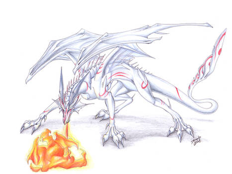 White Dragon