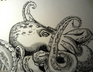 Giant Octopus