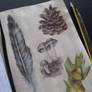 Natural forms sketchbook page