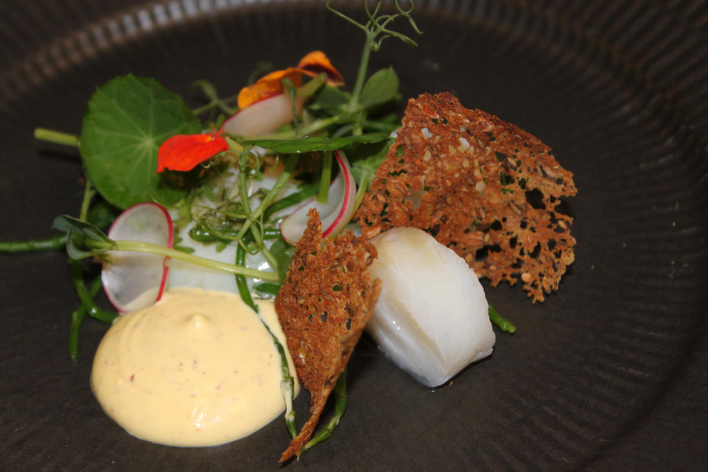 Cod by michaelnorgaard on DeviantArt