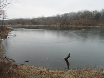 Half Frozen Lake