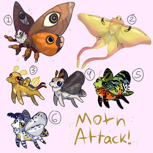 Moth attack! Squib moth adopt (CLOSED)