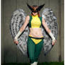 Hawkgirl