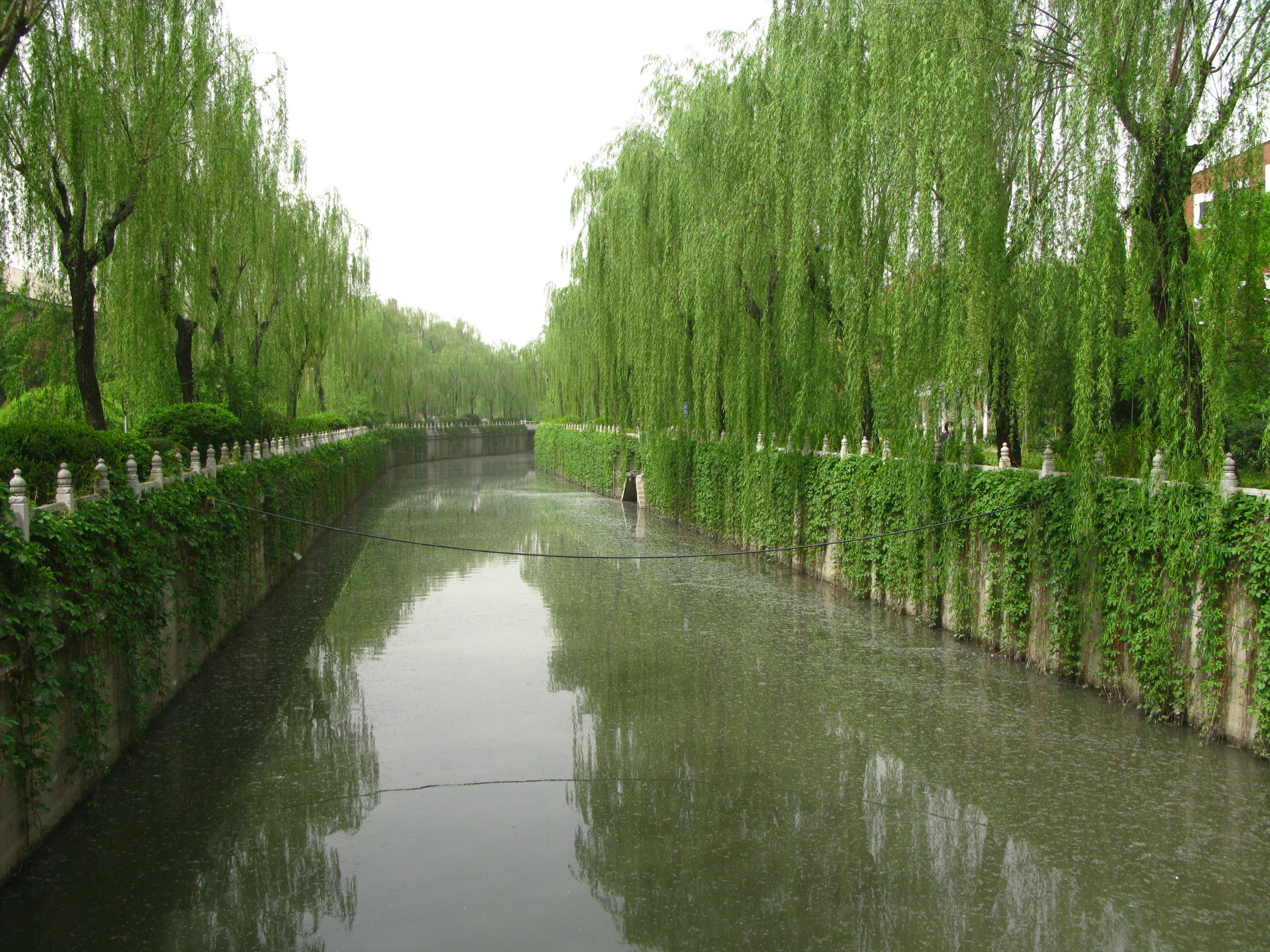 Tsinghua University 101 years old anniversary.