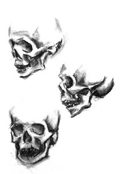 skulls