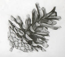 Pinecone