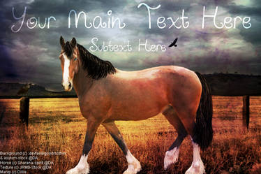 Bay Horse Manip