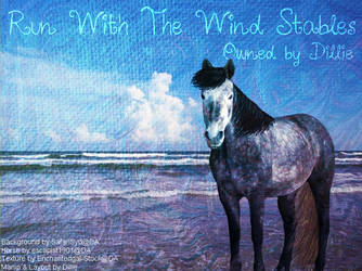 Run With The Wind Stables