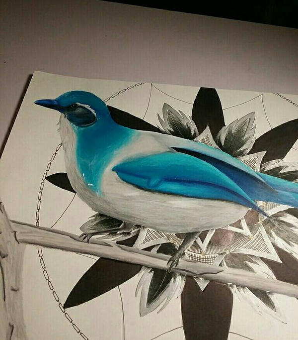 Birds Deviantart Bird by PoeticArt1st on DeviantArt
