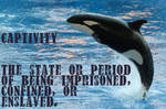 The definition of captivity by Moray-orca