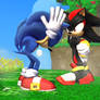 SSBB Sonic VS Shadow