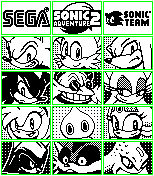 Sonic Adventure 2 VMU Displays