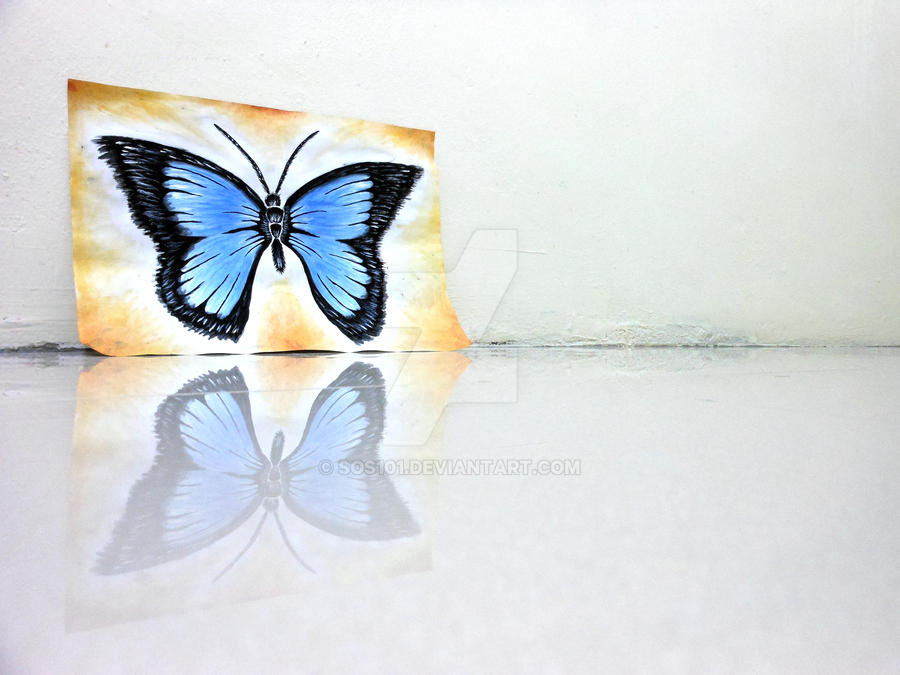 Reflection (Blue Butterfly)