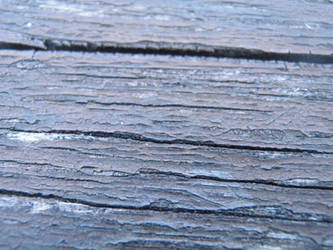 Old wood texture