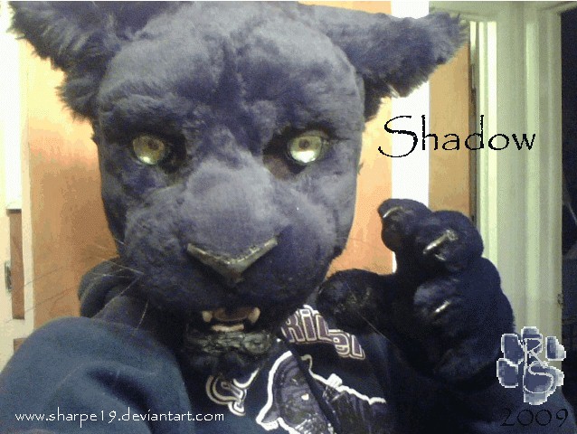 Shadow Fursuit