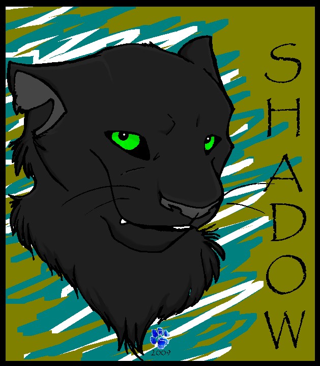 Shadow con badge