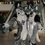 MFF 2011-2