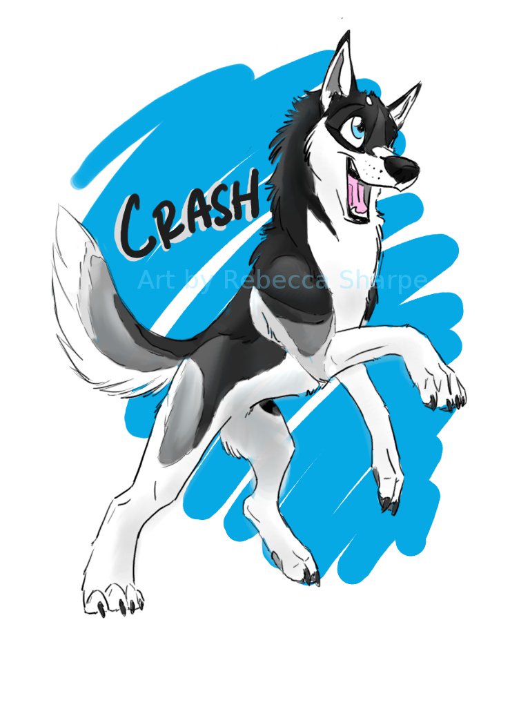 Crash badge