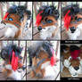Ultimate Makeover: Fursuit edition