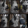 Greyscale Hyena