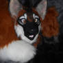 Maned Wolf Partial