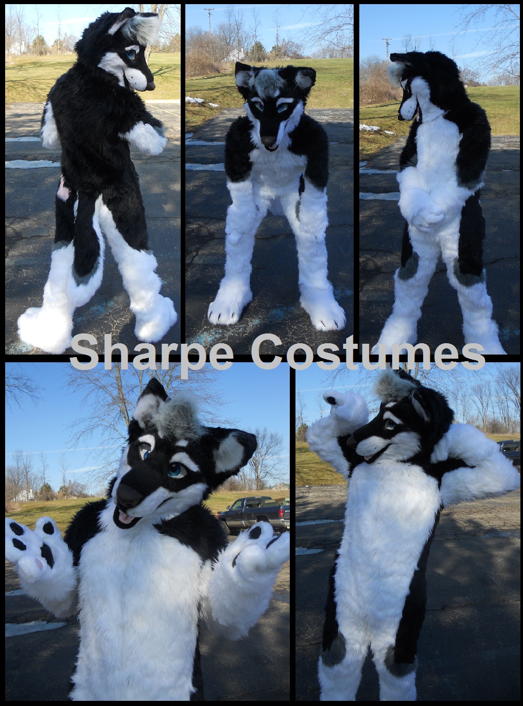 Husky Fursuit