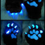 Glowrune paws