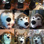 Teeth Progression