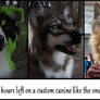 Custom canine auction Reminder!