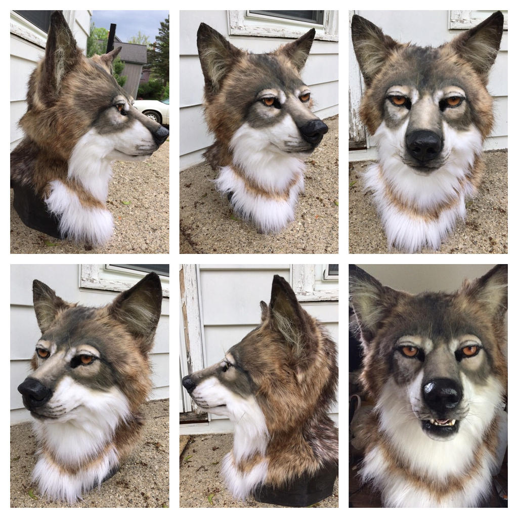 Timber wolf head by Sharpe19 on DeviantArt