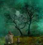 Sharing the Wonder by futuregrrl