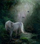 Mystic Beauty by futuregrrl