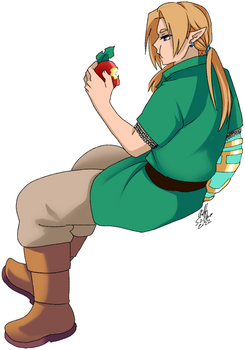 Sis-Chan's version of Botw ToTK Link