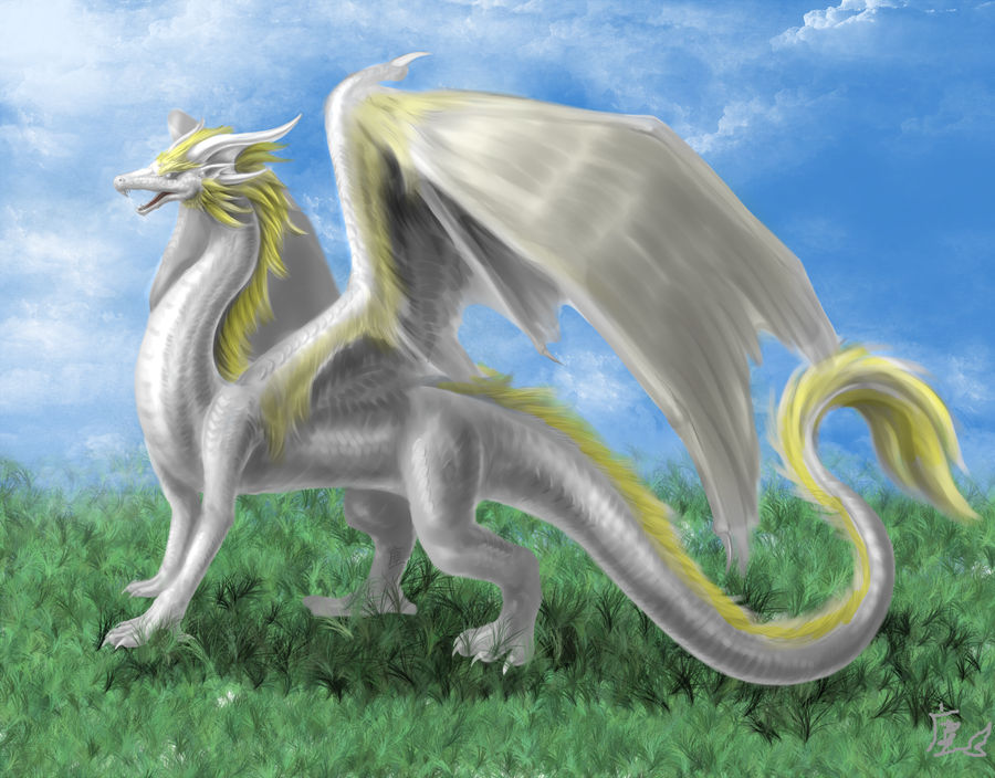 design for myself by Lena-Lucia-dragon