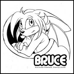 Bruce the Bat