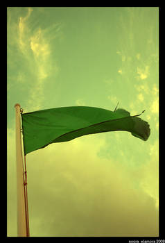 : Flag : green :