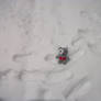 Teddy Loveless In the snow