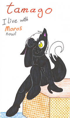 Present for Moros: Tamago