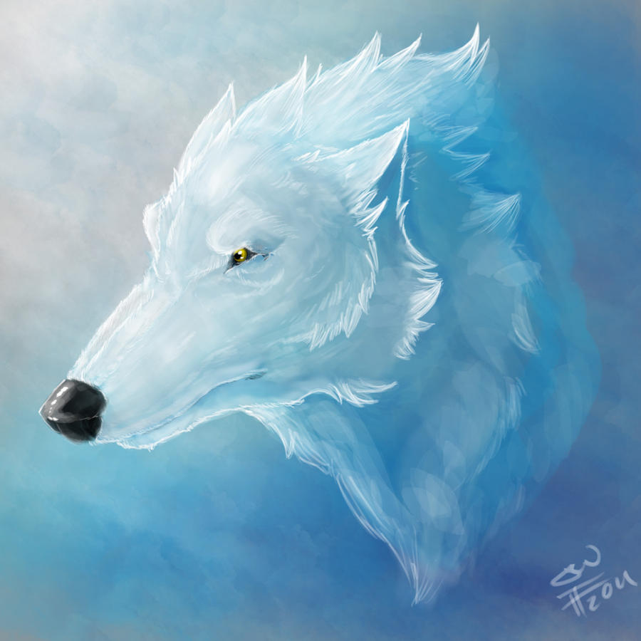 Ghost Wolf by JnAnN on DeviantArt