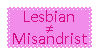 Lesbians Are Not Misandrists