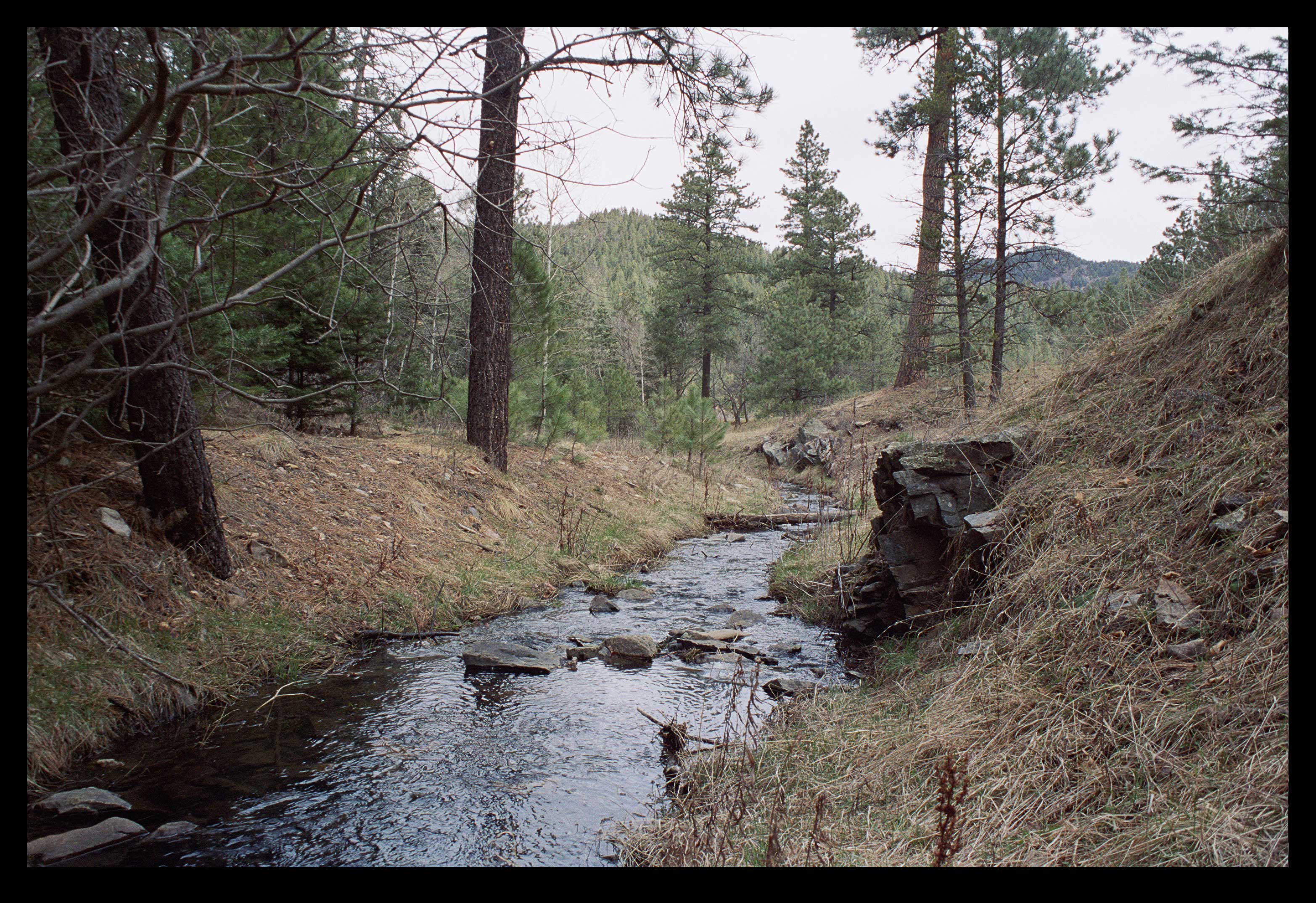 A Pastoral Lust