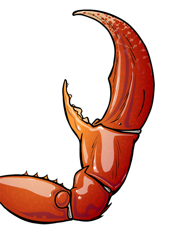 Based On Claw Drawing - HEART WITH DRAWING