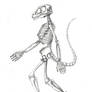 Blue Raptor Skeletal
