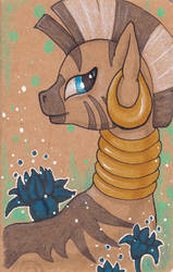 Zecora Moleskine