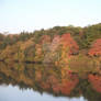 Autumnal reflections