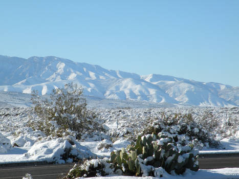 Winter in the desert 2